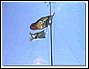 video7